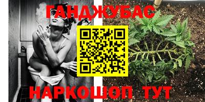 спайс Майкоп