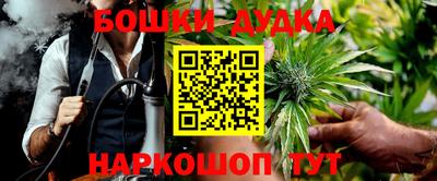 a pvp Обь