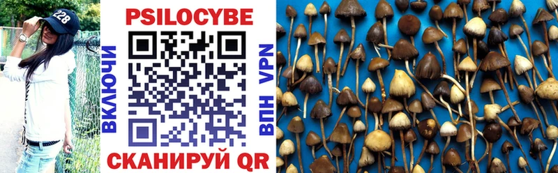 цены наркотик  площадка какой сайт  Псилоцибиновые грибы Magic Shrooms  Топки 