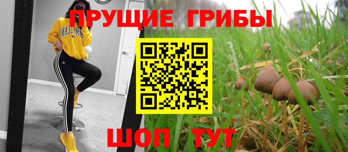Псилоцибиновые грибы Psilocybine cubensis Топки