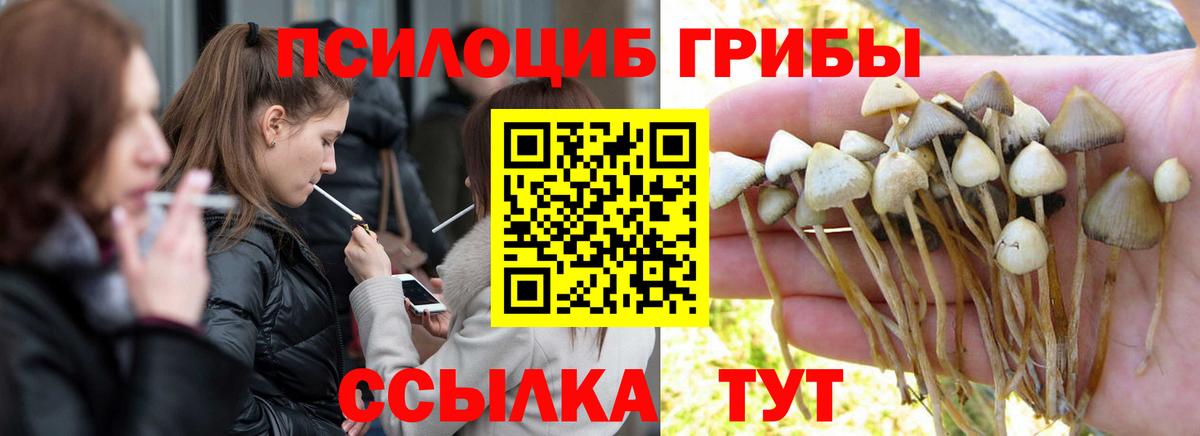 Псилоцибиновые грибы ЛСД  Вход с VPN  купить   Топки  Галлюциногенные грибы Cubensis 