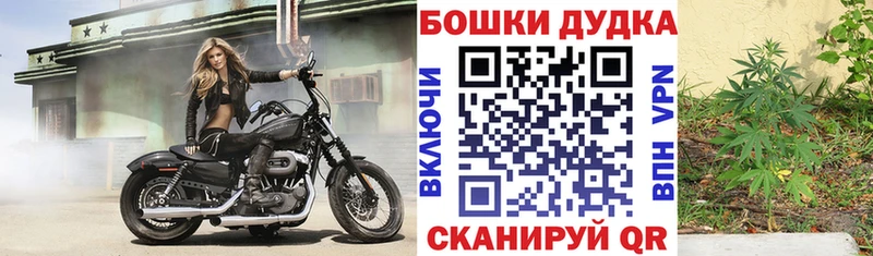 Бошки Шишки семена  Топки 